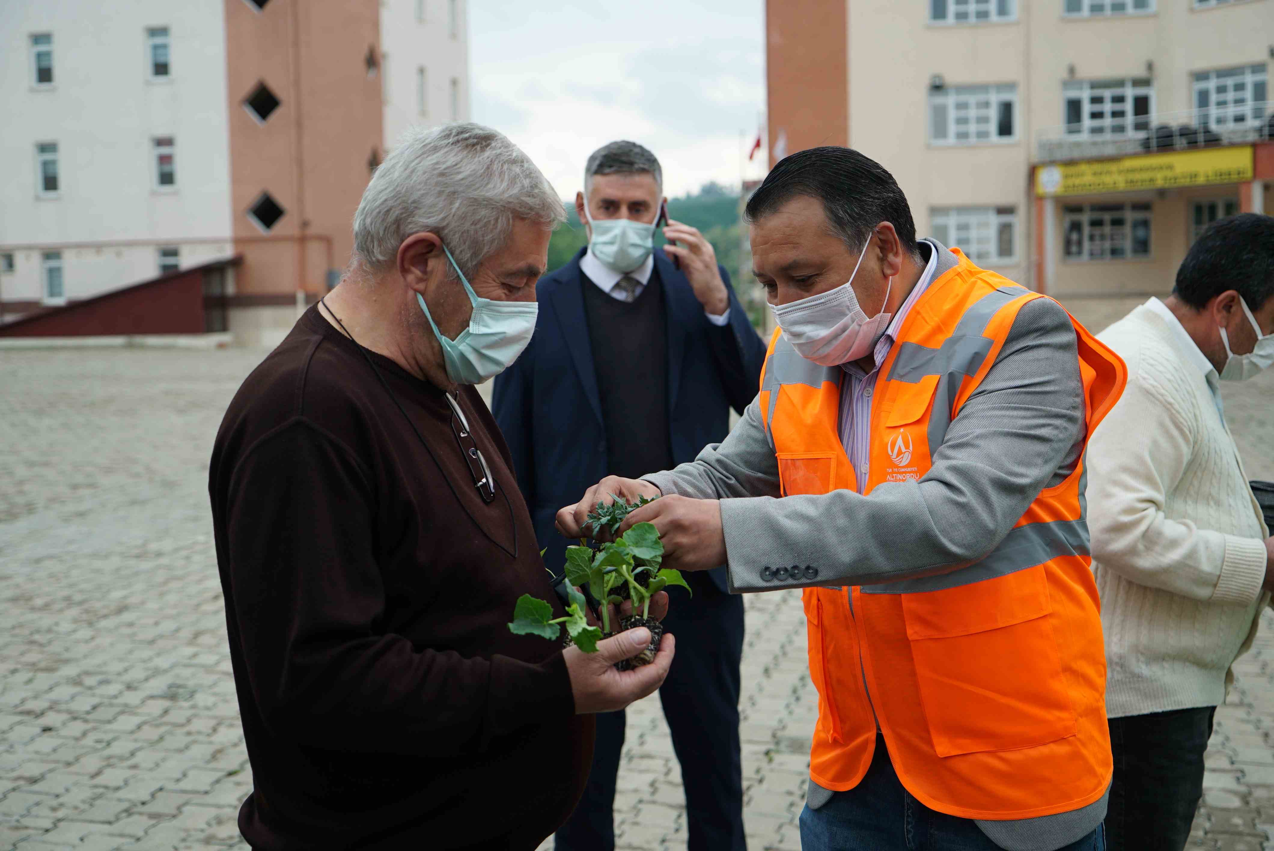 ALTINORDU FİDE DAĞITTI